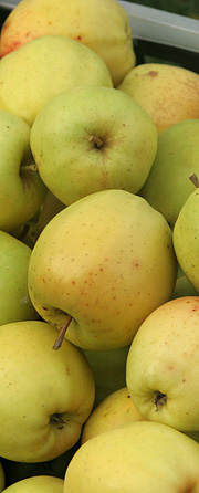 Golden Delicious &aelig;bler
