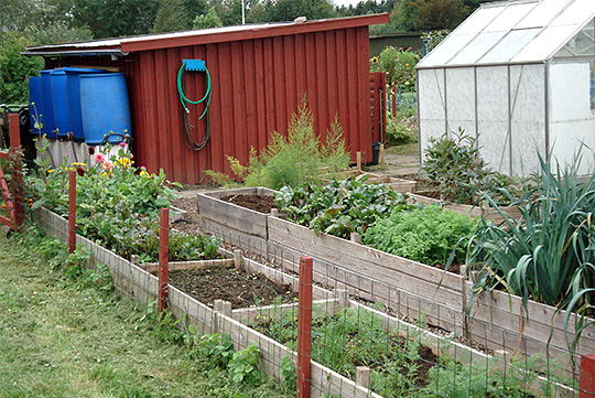 Højbede med grønsager dyrket i kompostblanding