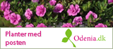 Planter med posten