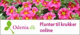 Planter til krukker