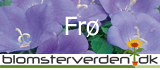Bl&aring; blomst
