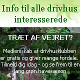 Drivhusklubben