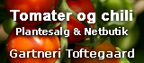 Gartneri Toftegaard s&aelig;lger tomat- og chiliplanter