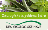 Fr&oslash; af krydderurter