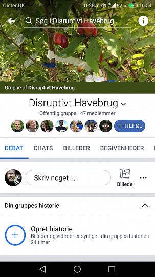 Havenyt.dk Pawpaw Erfaringer gjort i DK