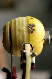 Pletter med æbleskurv sidder kun i skrællen og kan let skrælles af.