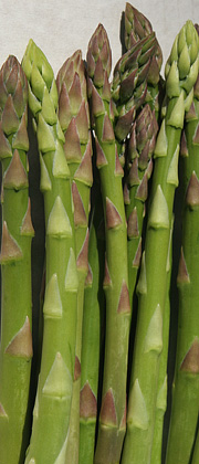 Lækre asparges