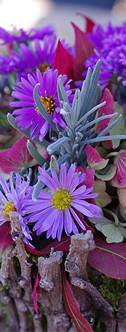 efterårsblomster