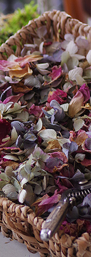 tørrede blomsterblade