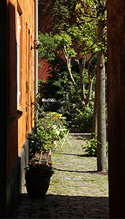 Christianshavnergård dyrker planter i potter op ad gamle mure