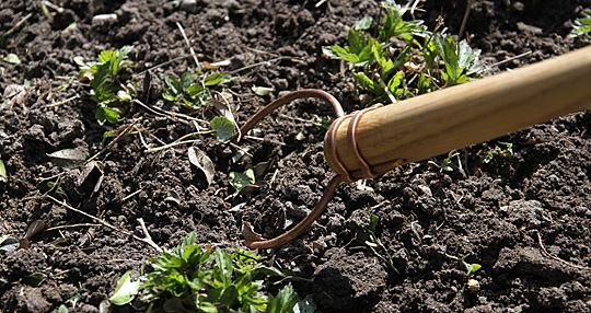 Garden scepter