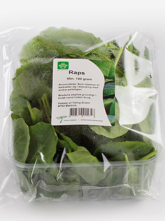 Bakke med babyleaves af Colza raps