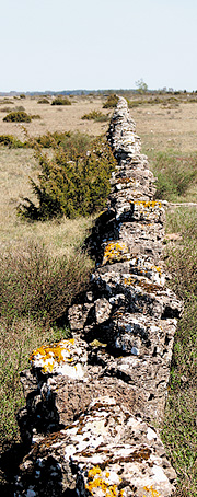 Stenmur på Øland
