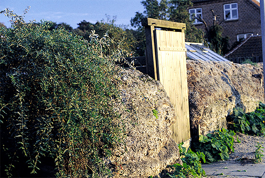 Tangdige i Ebeltoft med bukketorn