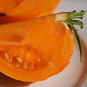 tomat gul