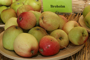 Broholm