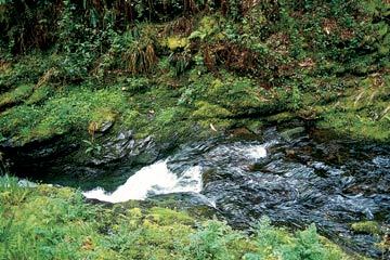 Lydford Gorge