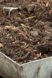 grov kompost