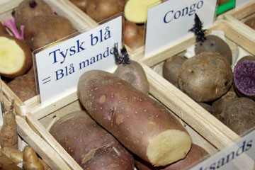 Congo og Tysk blå