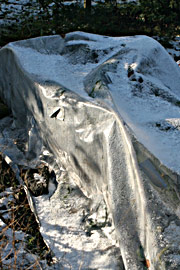 Plasttunnel over selleri som værn mod frost.