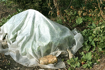 Bobleplast