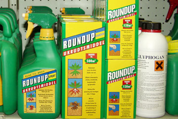 Roundup