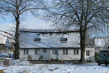 De to store lindetræer foran huset.