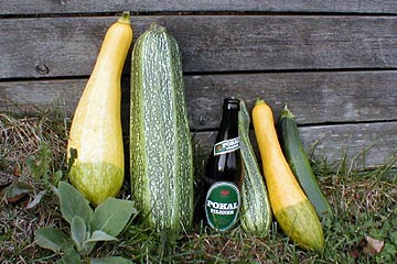 Sommersquash