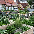 Grow Your City i Fredericia