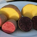 Kartofler med kulør