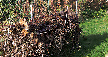 Selvom man kun har en mindre bunke af kvasegnet haveaffald, så kan man sagtens lave et lille kvashegn til glæde for dyrelivet i haven. Foto: Heidi Kirk Nissen