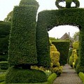 topiary garden i England