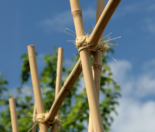 Sammenbinding af bambusstativ