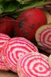 Tondo di Chioggia rødbede