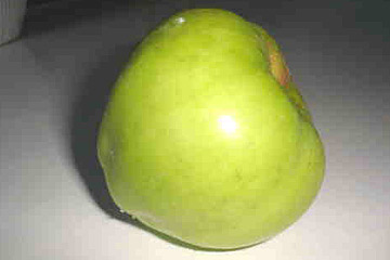 Tyrrestrup æble