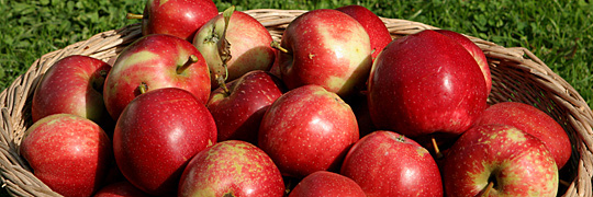 Summerred æbler