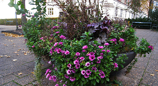blomsterkrukke Ægirsgade
