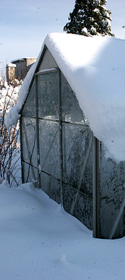Vinteren 2010