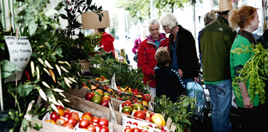 Grønsagsfestival