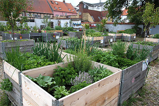 Grow Your City i Fredericia