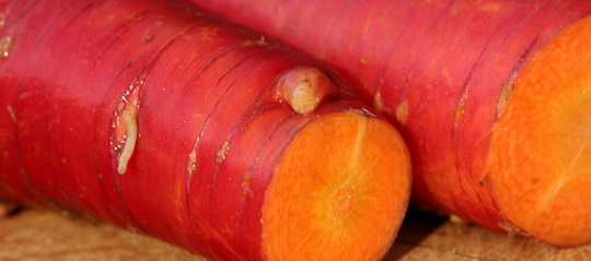 Røde gulerødder