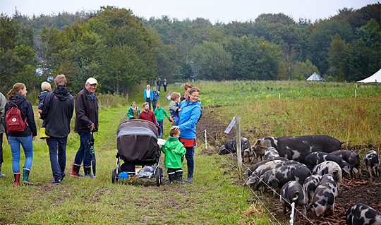 Økologisk Høstmarked i 2014 på Troldgården.