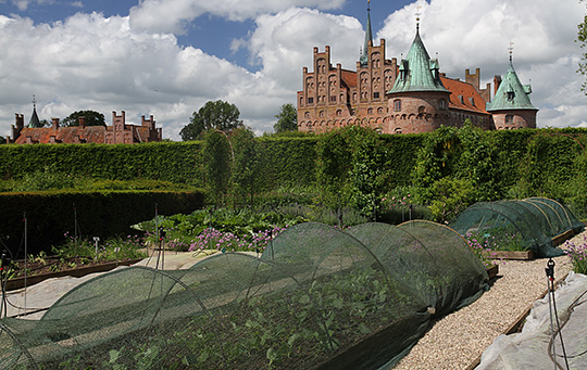 Skyggenet over kålbede på Egeskov