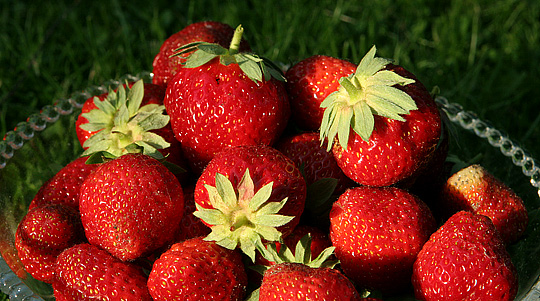 Jordbær – flotte, søde og røde
