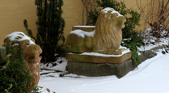 Løver i haven
