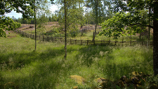 Svensk natur