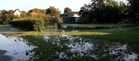 Oversvømmelse efter regn i august 2011 på Lolland
