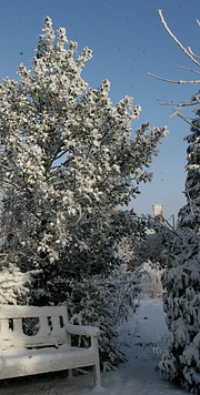 Have med sne