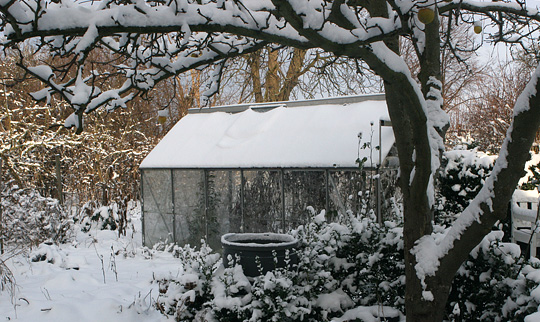 drivhus i sne