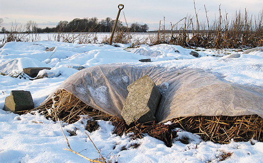 Vinteren kommer med sne og frost